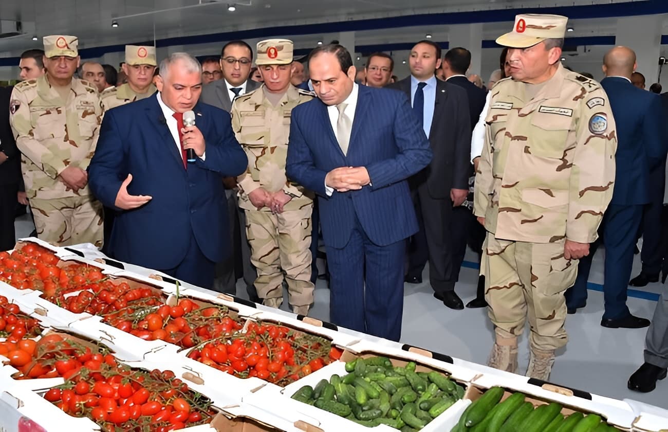 أمراض العسكرة والشخصية المتعسكرة المنتفخة.. مفاهيم ملتبسة (58)