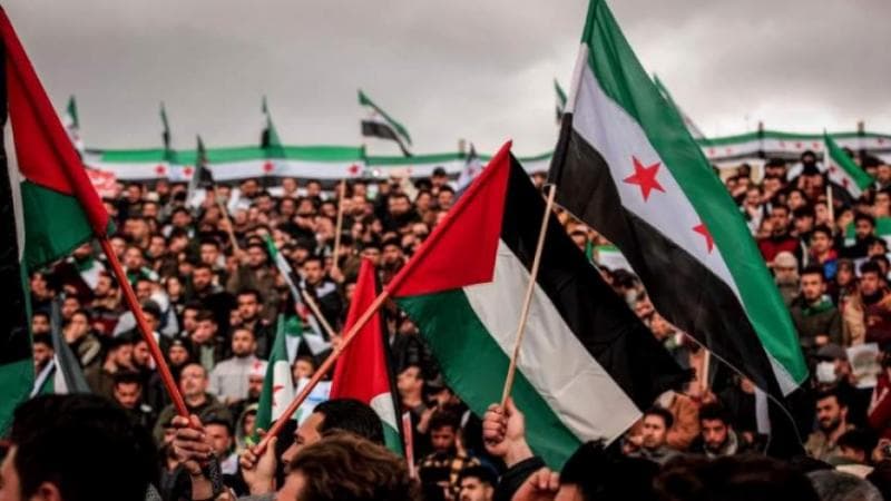 علم فلسطين والثورة السورية